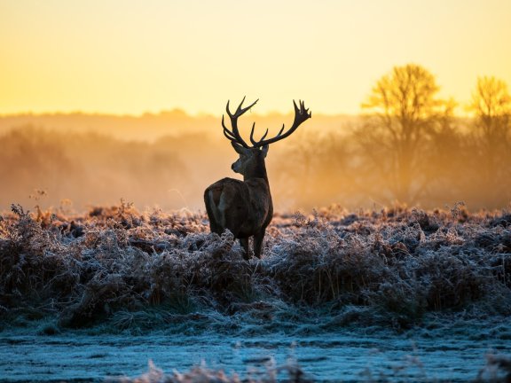 微擎二次开发微信公众号视频教程